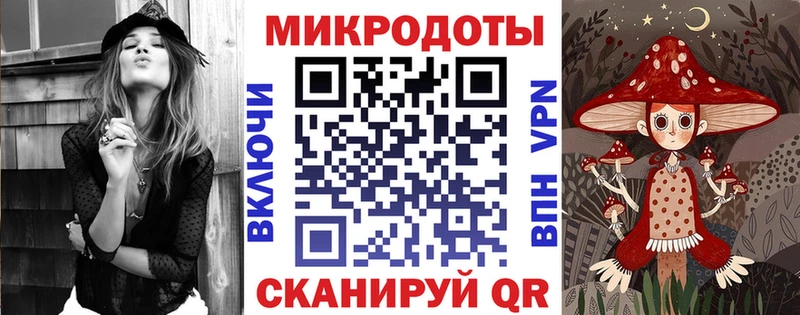Галлюциногенные грибы Psilocybine cubensis  Купить где  Болгар 